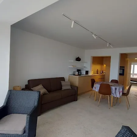 شقة Zeedijk 1 Slaapkamer كوكسيجدي